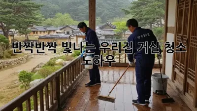 ✨반짝반짝 빛나는 우리집 거실 청소 노하우✨