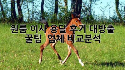 📦 원룸 이사 용달 후기 대방출! 꿀팁🍯 & 업체 비교분석 🚀