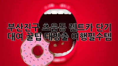 부산진구 초읍동 렌트카🚗 단기 대여 꿀팁 대방출! #여행필수템